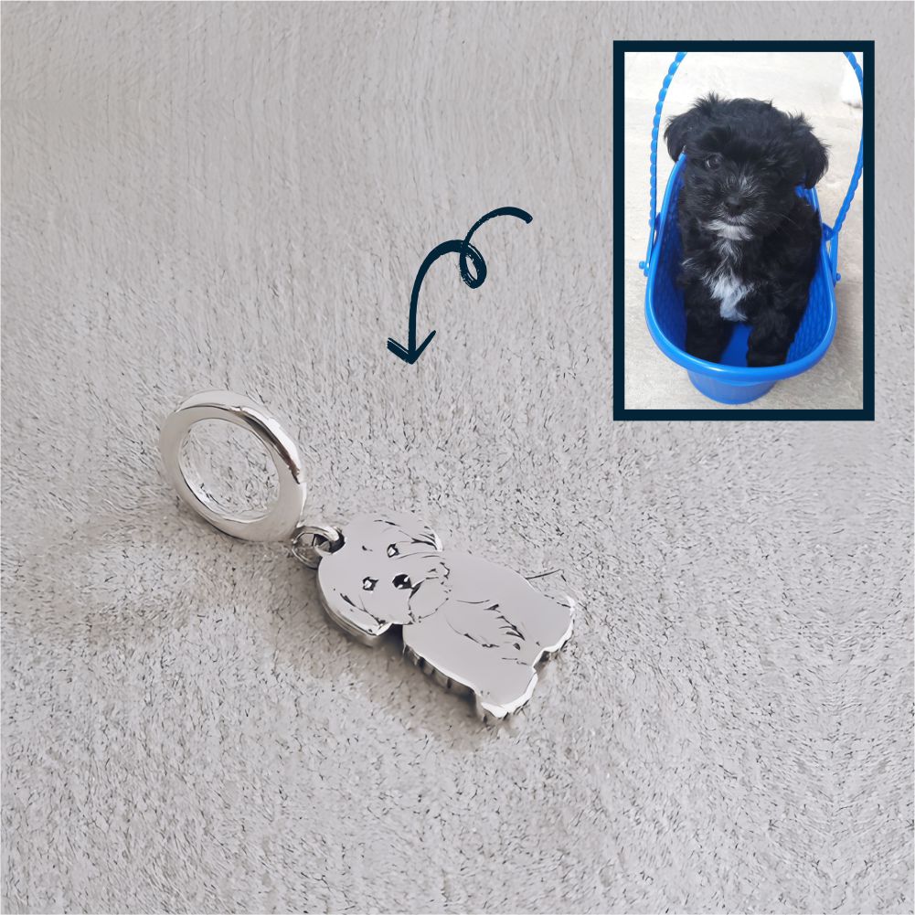Berloque Pet Personalizado 12mm em Prata